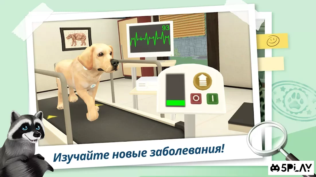 Download Pet World – My Animal Hospital – Dream Jobs: Vet  APK (MOD  money) for android