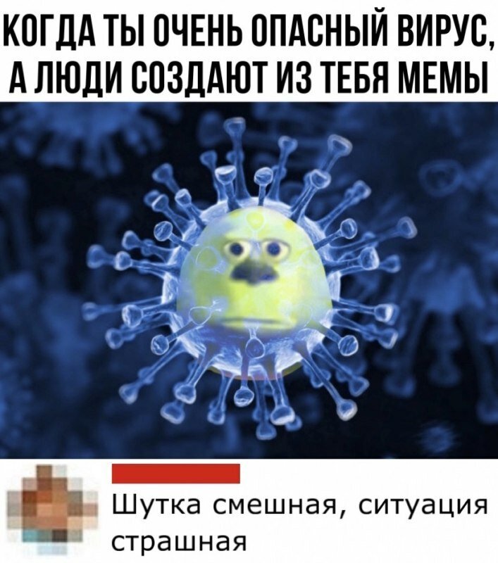Мемы – хорошее средство от стресса при пандемии коронавируса