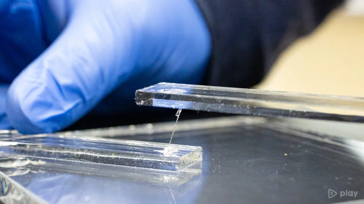 Scientists from the USA have developed the strongest adhesive in the world