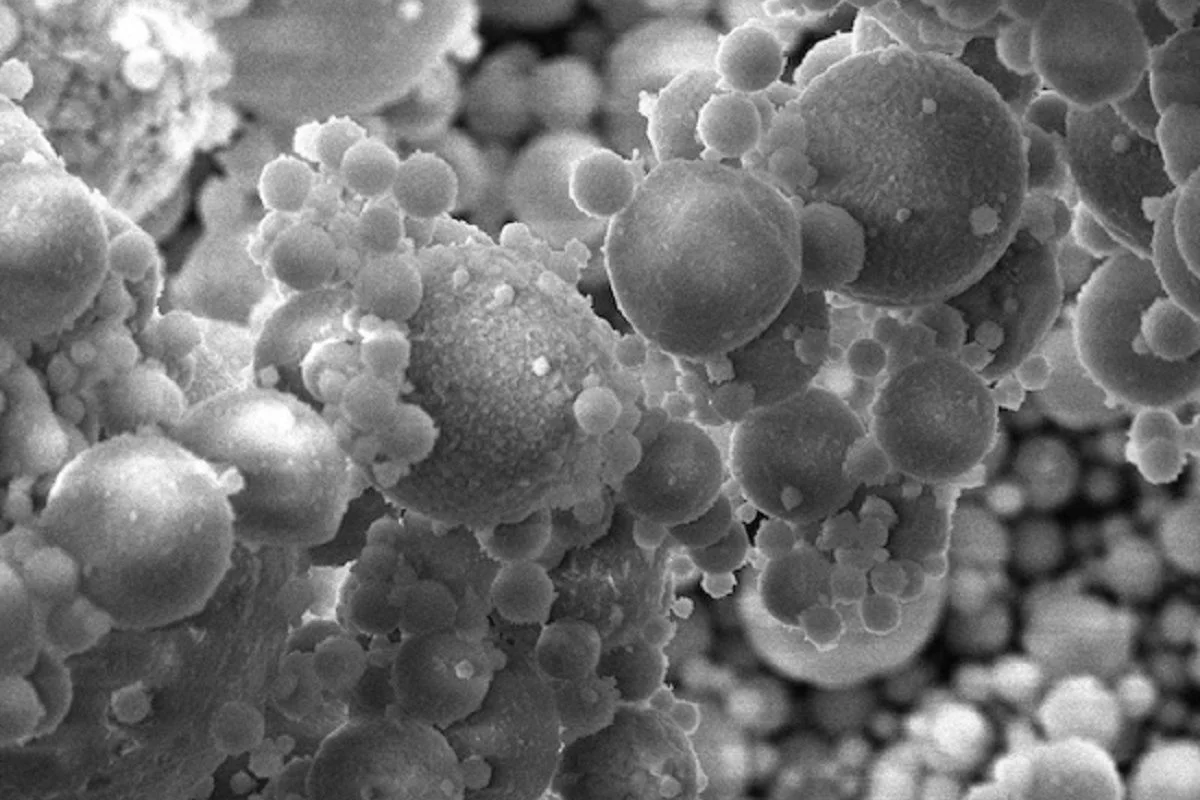 Австралийские ученые создали самоочищающийся биопластик, способный разлагаться