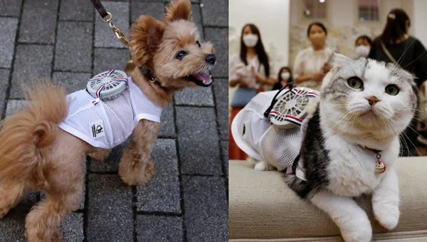 The Japanese began to produce mobile air conditioners for pets