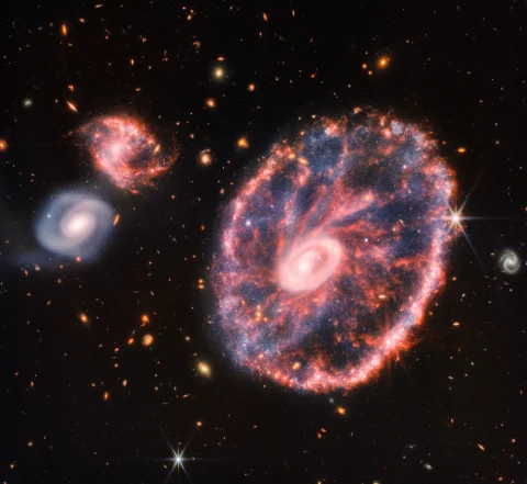 The James Webb telescope took a picture of the Cartwheel Galaxy