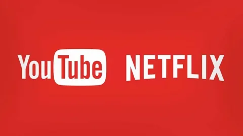 Popular streaming services will appear on YouTube