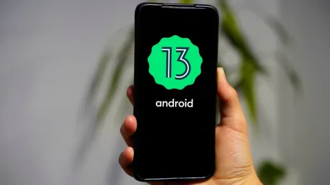 Stable Android 13 is now available for a limited number of devices