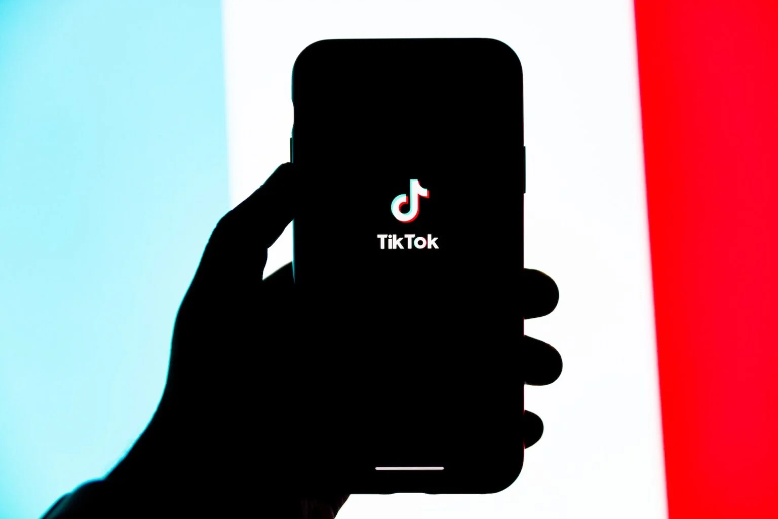 Hackers stole TikTok's source code and massive amount of user data