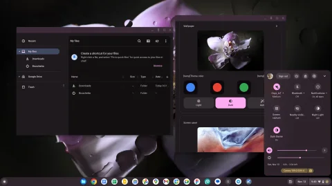 Dynamic interface Material You added to Chrome OS
