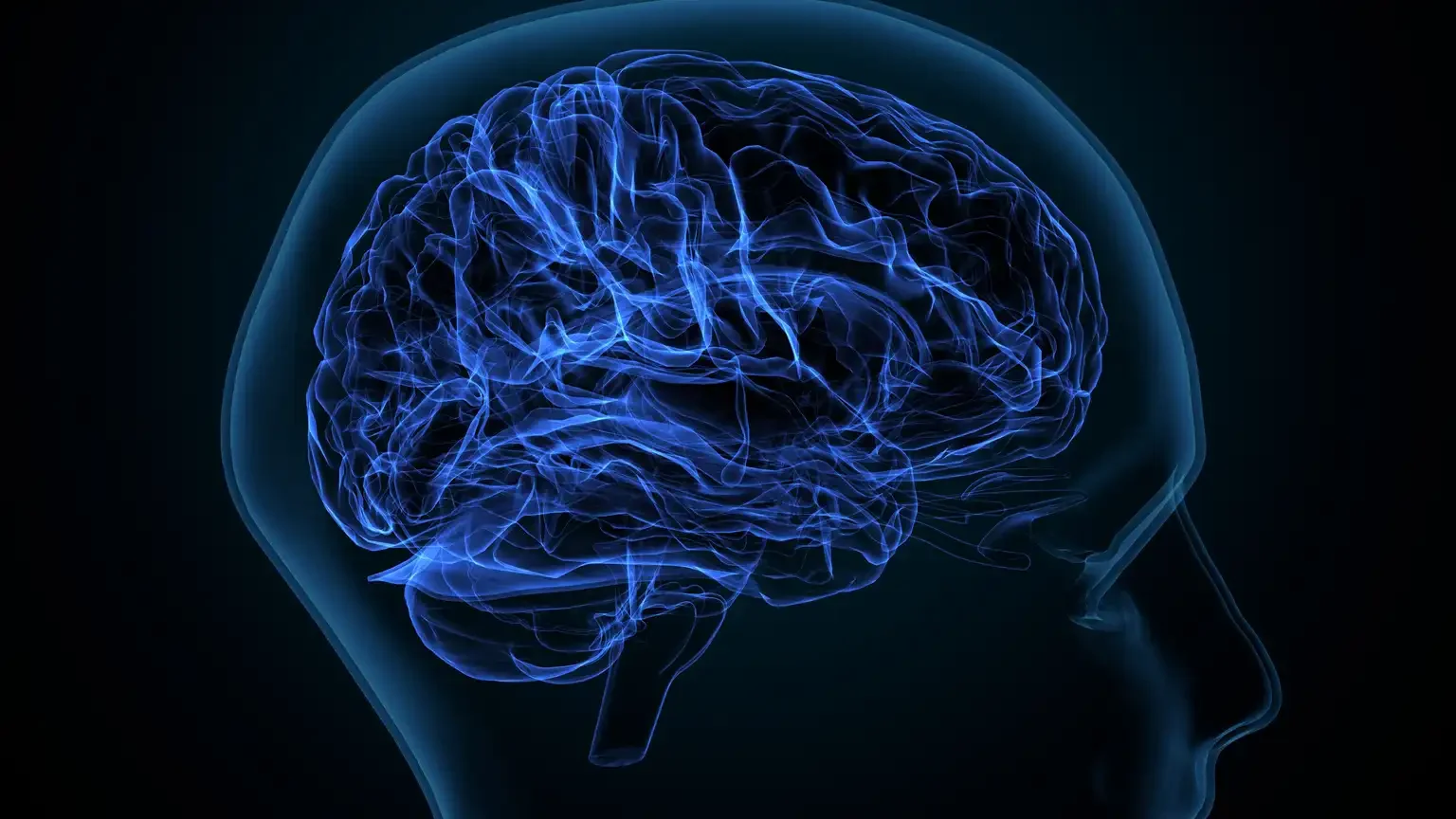 Ученые из Австралии создали карту мозга человека