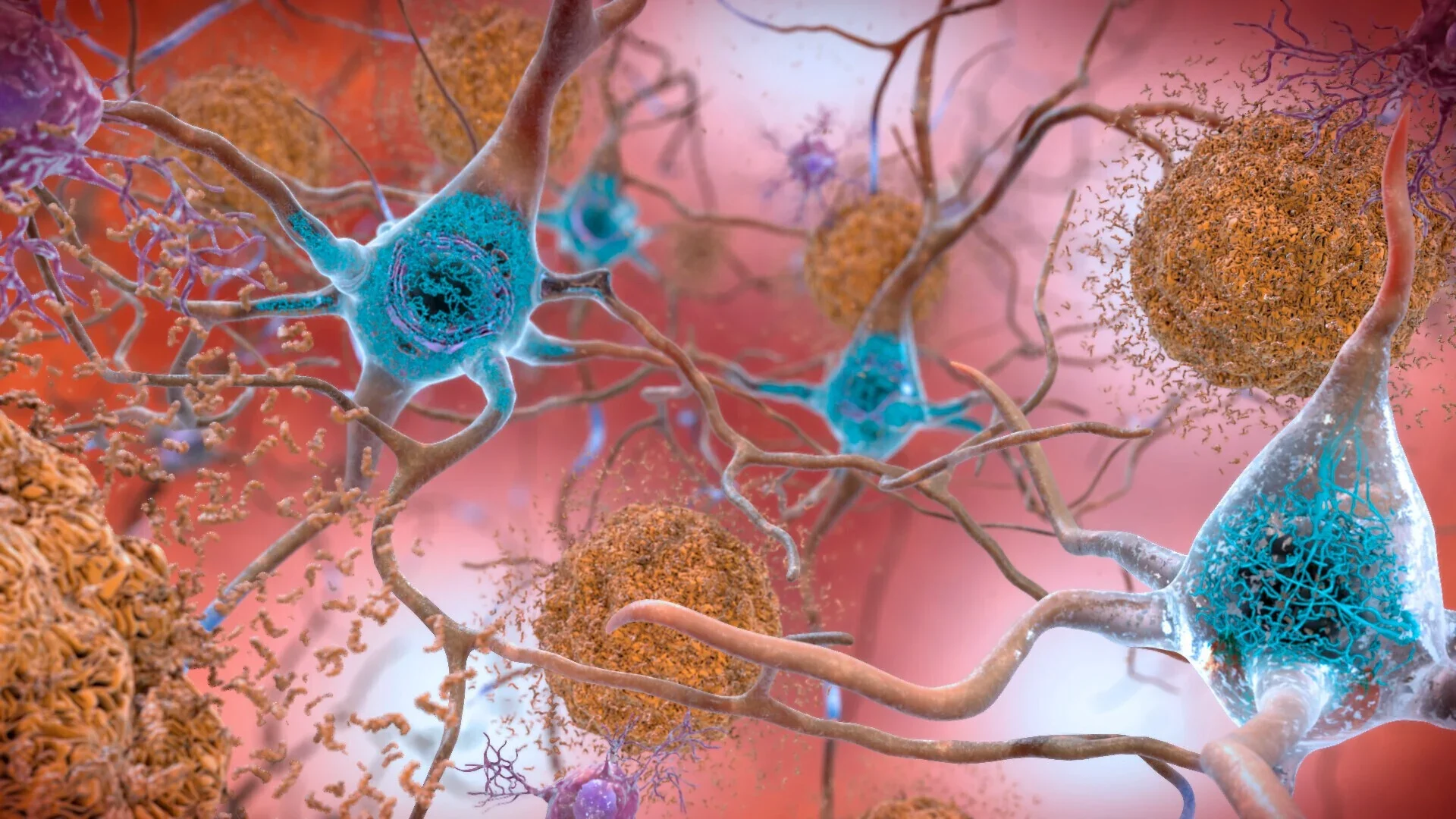 Ученые нашли способ восстановления нервных клеток с помощью магнитов