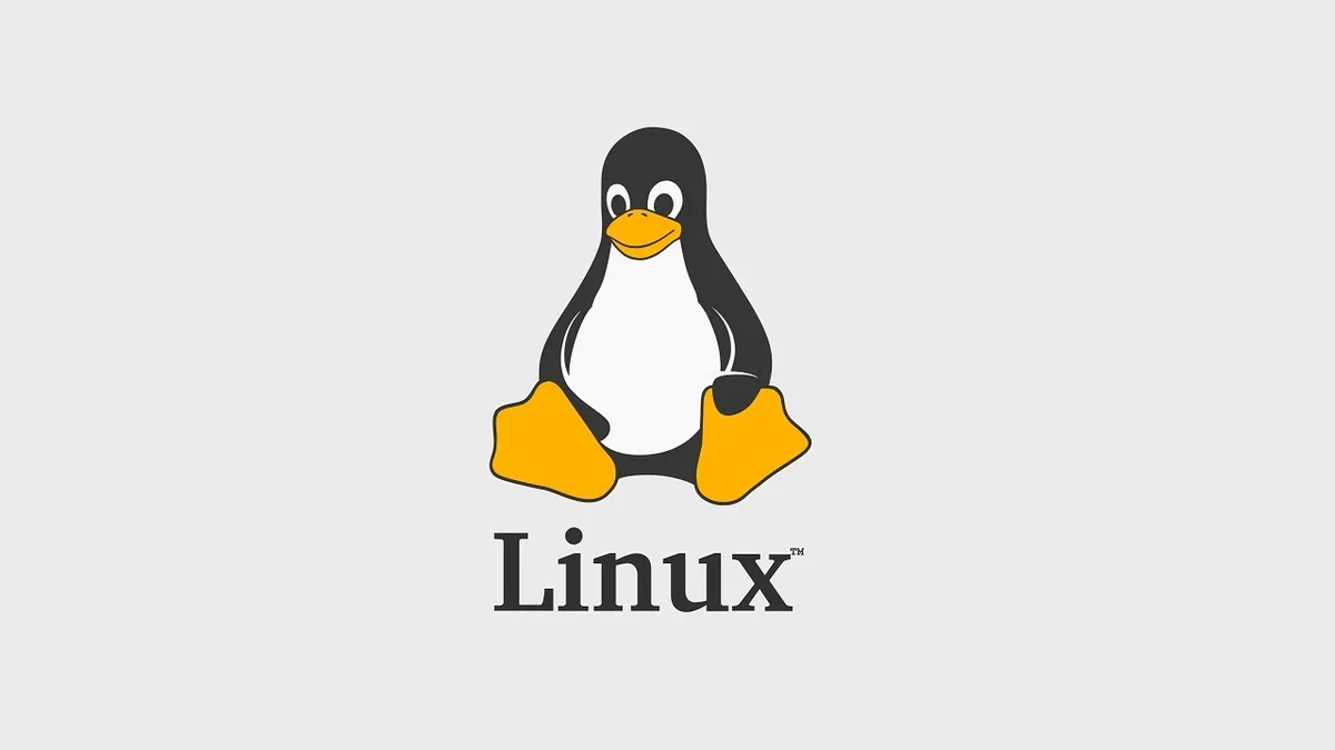 Stable Linux 6.1 is out. More than 15 thousand corrections were made in it