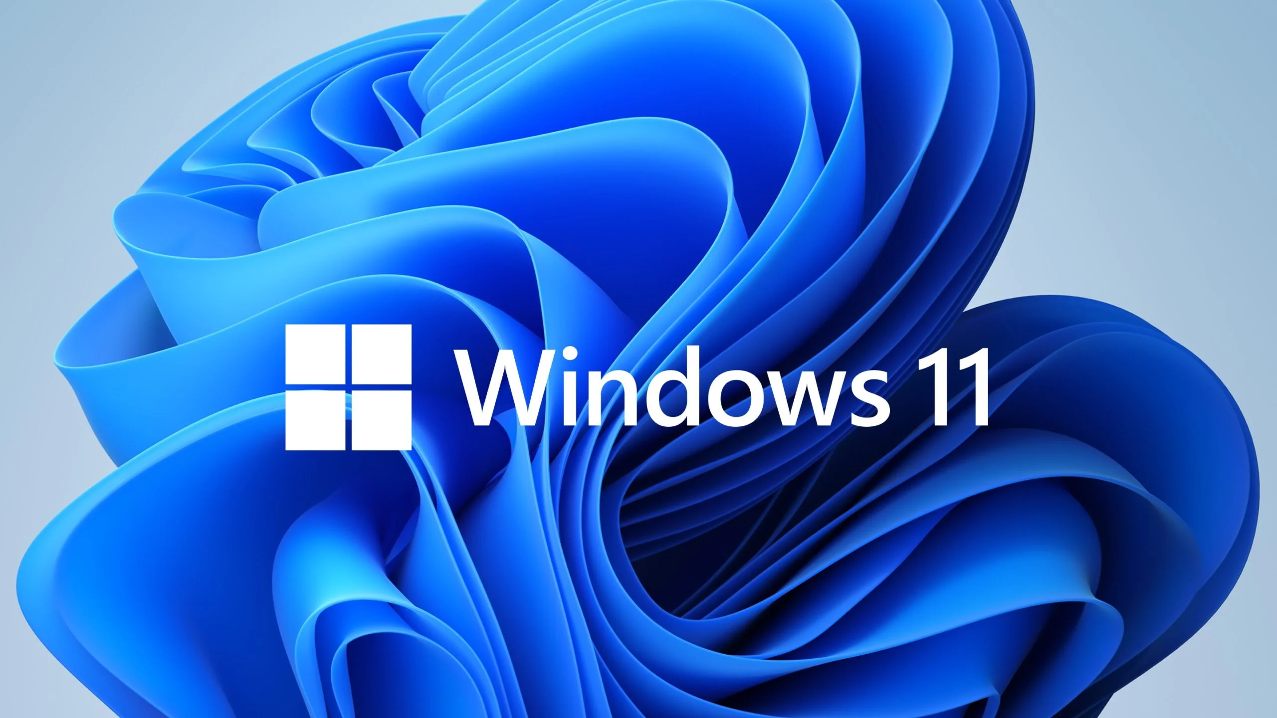Windows 11 will get a task manager widget