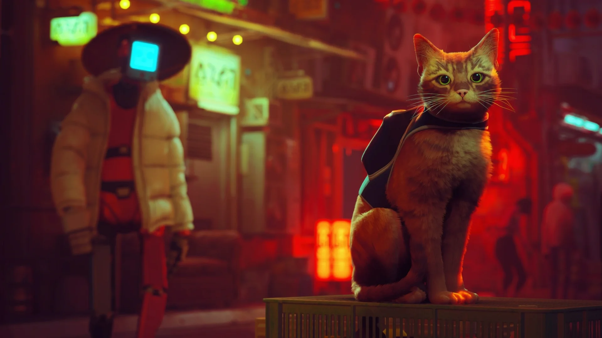 Game about a cat in the world of cyberpunk Stray will receive a film adaptation