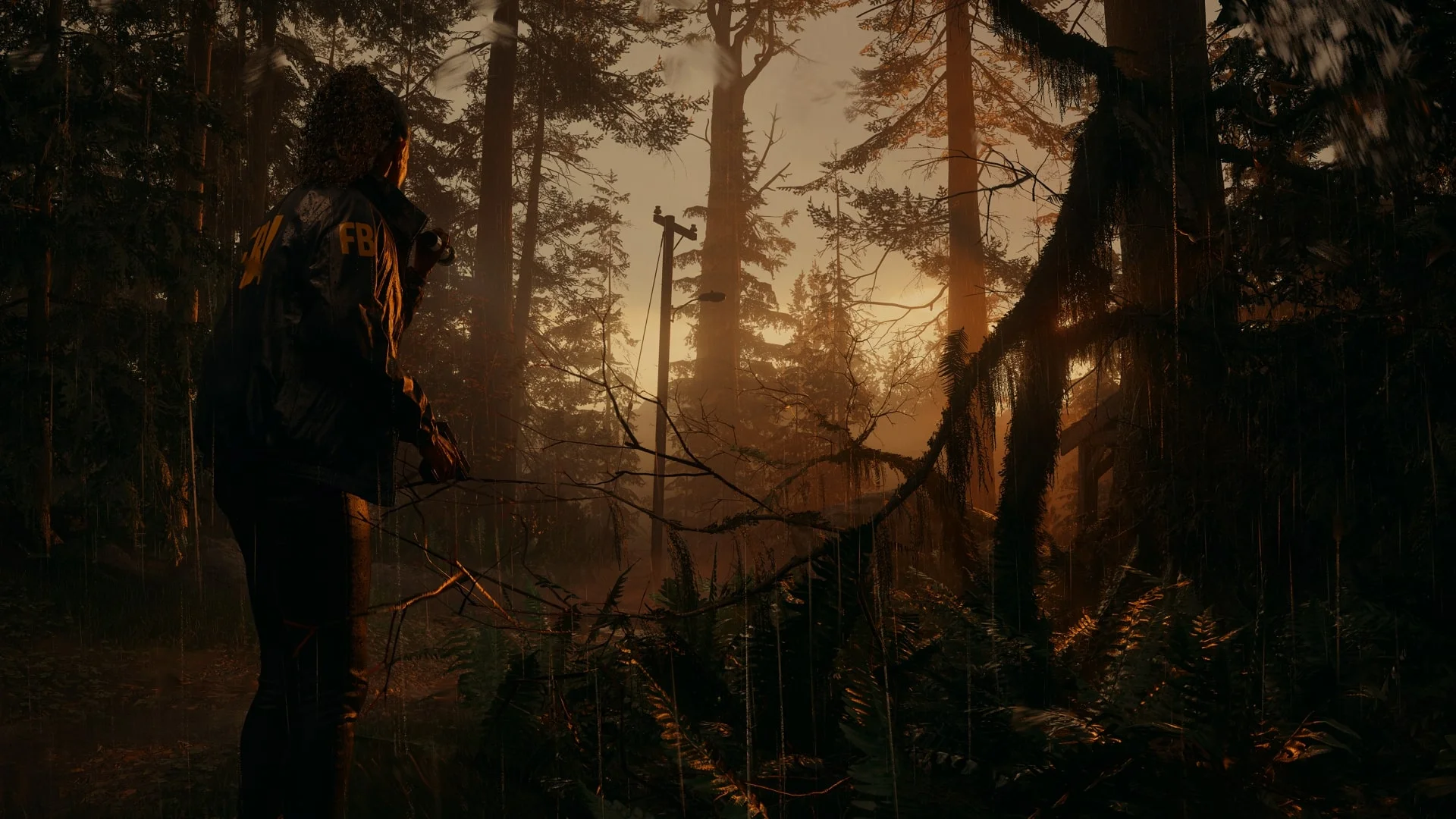 Showing 11 minutes of Alan Wake sequel