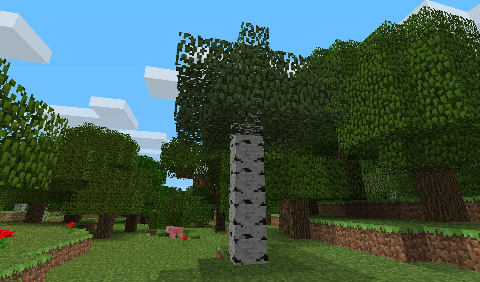 Cubic trees began to be brought to the set of the Minecraft film adaptation